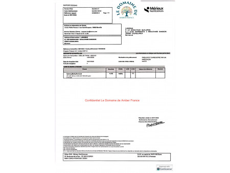 Miel de Thym Naturel du Maroc Récolte 2025
