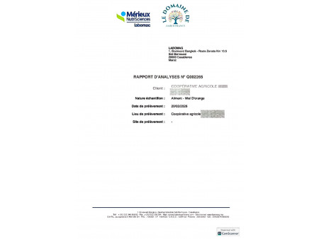 Miel d'Oranger Naturel du Maroc