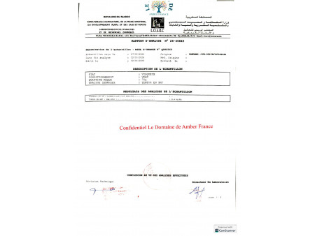 Miel d'Oranger Naturel du Maroc