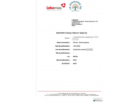 Miel d'Eucalyptus Naturel du Maroc