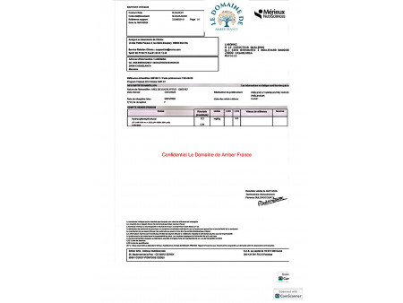 Miel d'Eucalyptus Naturel du Maroc